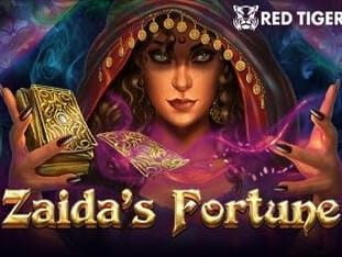 Zaida's Fortune game cover